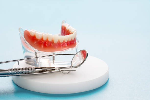 Reliable Amherst, OH Holistic Dental Care Services Solutions